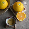 生态桔柚 | 合作生产*Eco-Tangelo | Coproduction 商品缩略图4