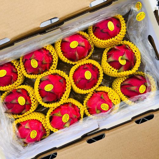 海南初心红红心火龙果98元一箱中大果12颗装