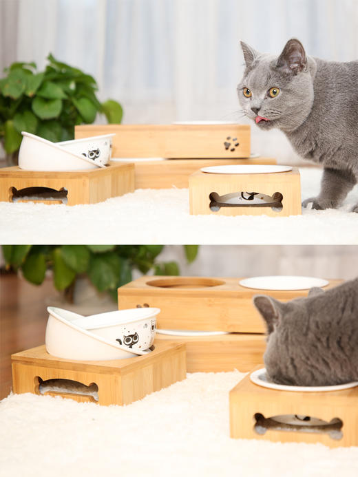 猫森林竹节陶瓷食盆猫犬通用 商品图1
