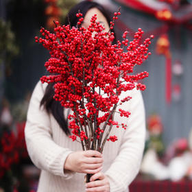 鼠你最红鼠你有财北美冬青大红发财果圣诞节鲜花新年祝福喜庆年宵花送花上门