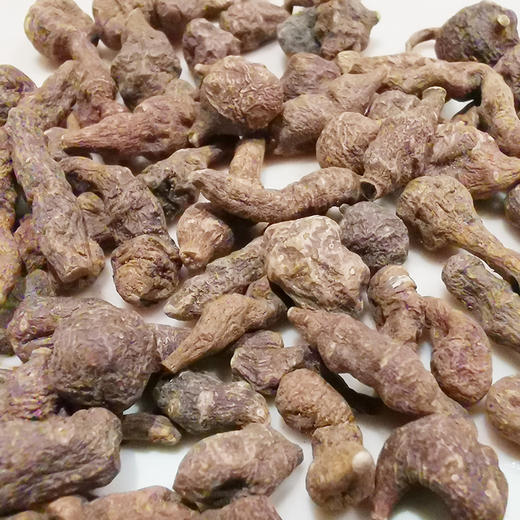 营养好 带着满满祝福 西藏人参果—蕨麻