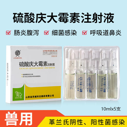 兽药硫酸庆大霉素注射液针剂猪犬猫宠物拉稀肠炎腹泻血便肺炎兽药- 三一动保