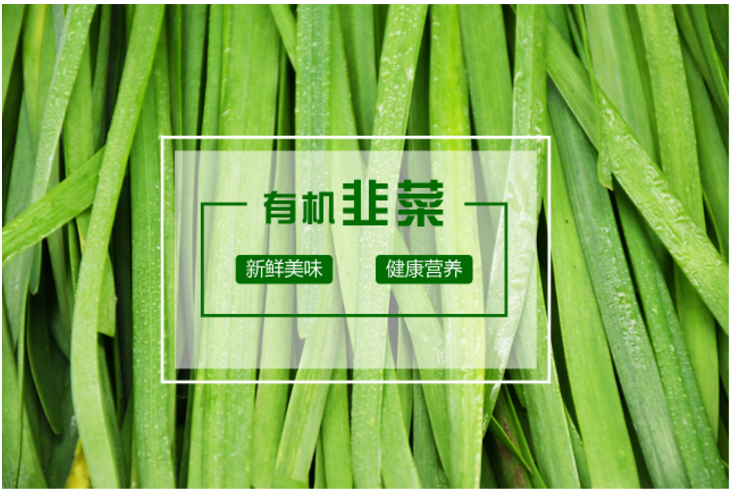 【空运落地，周四配送】【后院有机韭菜菜】预定周四配送