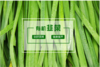 【空运落地，周四配送】【后院有机韭菜菜】预定周四配送 商品缩略图0