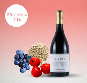 萨乌马罗纳河谷红葡萄酒 ROTEM ET MOUNIR SAOUMA COTE DU RHONE VILLAGES INOPIA ROUGE