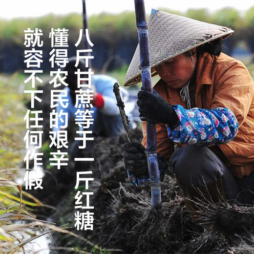 【吉顺号食品】第2份半价！云南特产古方红糖姜茶大姨妈红糖250g瓶装 商品图4