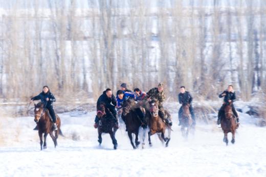 【颂•雪 新疆】冰雪新疆赛里木湖蓝冰，天鹅泉、叼羊、巩乃斯仙境行摄8天 商品图12