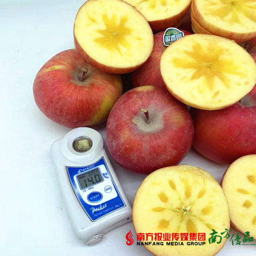 【一件代发】盈香园阿克苏冰糖心苹果  9斤±3两/箱 商品图1
