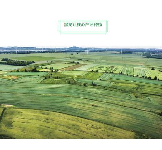 泛海内购|购新米  免费享稻米文化避暑游（三天两晚） 商品图1