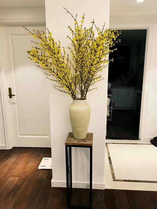 荷兰进口花材寸寸金串串金连翘热卖 商品图5