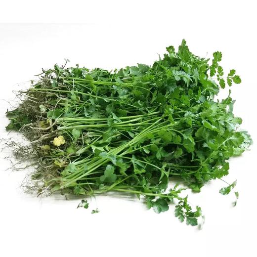 新鲜茼蒿3斤装 商品图2