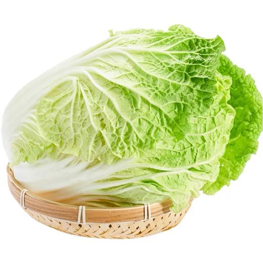 大白菜10斤 商品图0