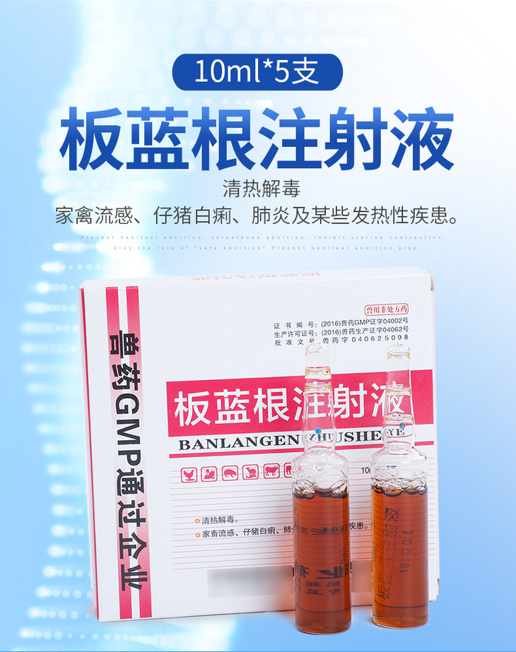 华畜 板蓝根注射液5支 家畜流感 仔猪白痢 肺炎及发热性疾患 - 兽药