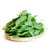 新鲜豌豆叶3斤装 商品缩略图0