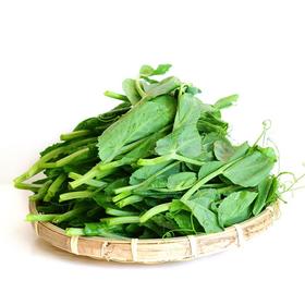 新鲜豌豆叶3斤装
