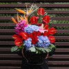 高档定制鲜花混搭红掌手提花篮送朋友领导老师长辈开业乔迁节日生日祝福探访感恩节 商品缩略图1