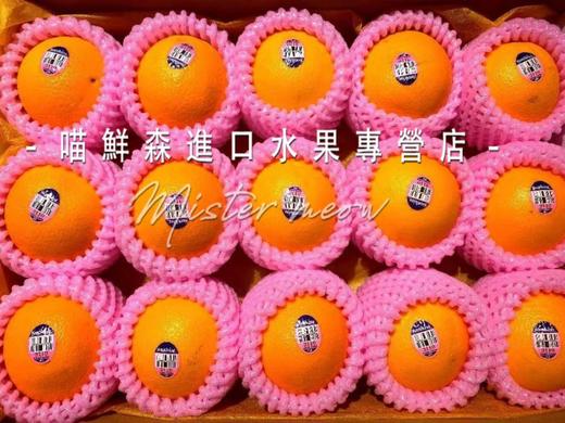 遇见梵高 进口阳光【甜橙】礼盒💝 商品图4