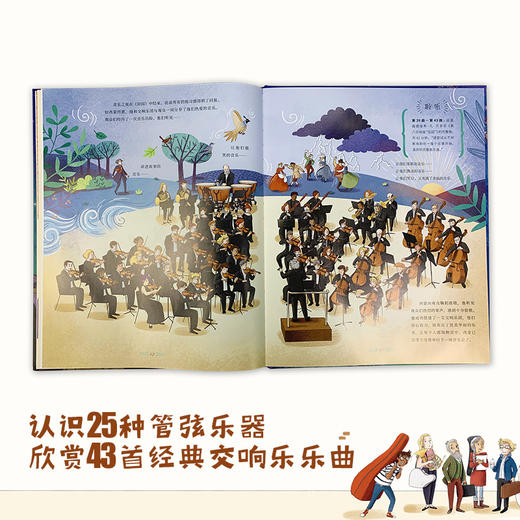 【音乐启蒙】交响乐团诞生记 从0开始了解交响乐团绘本 3岁+适读 商品图5