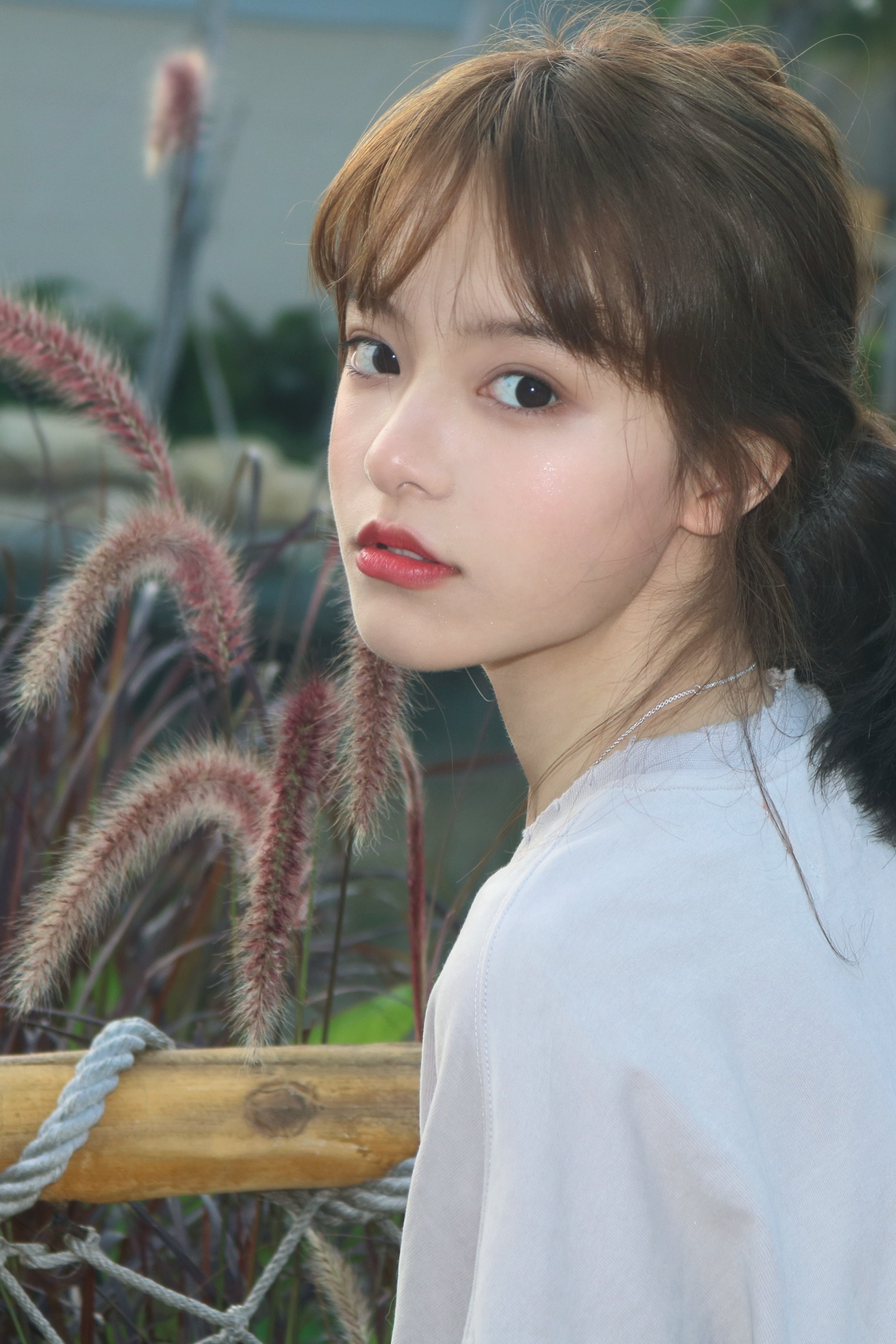 BAOMEICON·年抛  小葵同款黑环 14.0 超小直径的伪素颜眼珠珠~~韩产0-800度<一副两片>