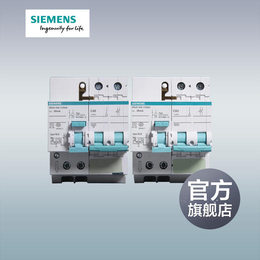 西门子绿色断路器2P漏电保护器总开一站式选购 商品图0