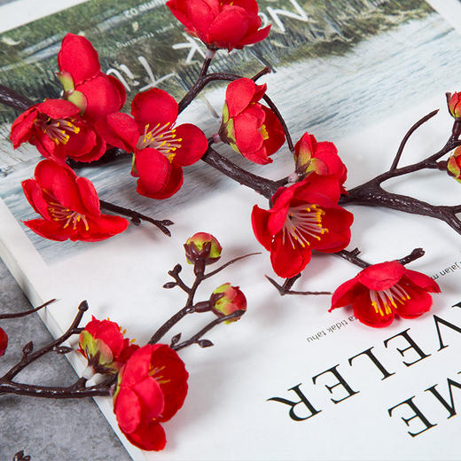 寿公 寿婆 寿桃 竹节 腊梅花 金鱼 老头老太 摆件 长辈老人装饰  福寿装饰 商品图1