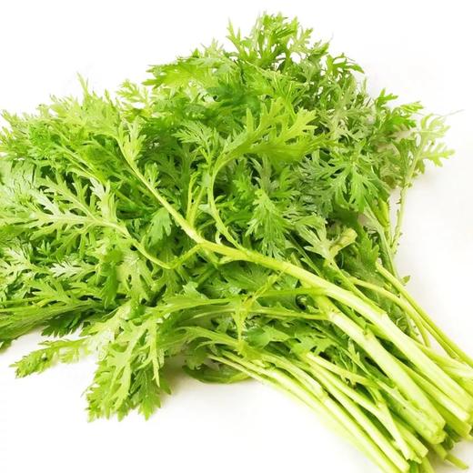 新鲜茼蒿5斤装 商品图0