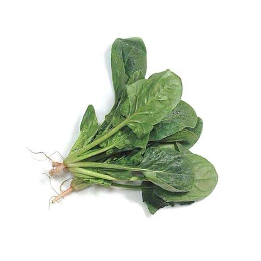 新鲜菠菜3斤装 商品图2