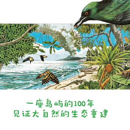 一座岛屿的100年 商品图1