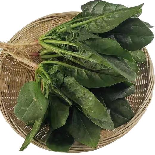 新鲜菠菜3斤装 商品图0