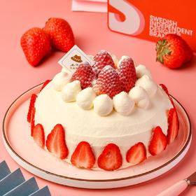 经典回归-草莓飘雪(圆形版）-5年热销10万+，只用丹东牛奶草莓！看不见雪的冬天，多么需要一个草莓飘雪啊！