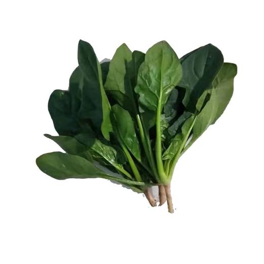 新鲜菠菜3斤装 商品图1