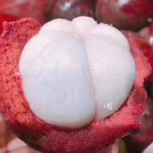 泰国山竹，礼盒装白胖子，品质非常棒的新鲜山竹，叶瓣青绿，果身软🍃去火神器。礼盒5斤 商品图5