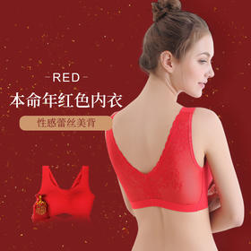 （99元/2件）红色网眼蕾丝美背内衣53043
