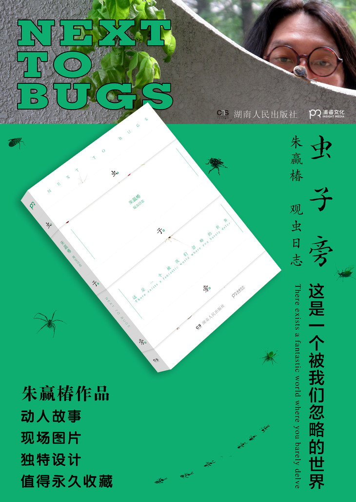 虫子旁朱赢椿图文作品讲述被我们忽略的虫子的世界