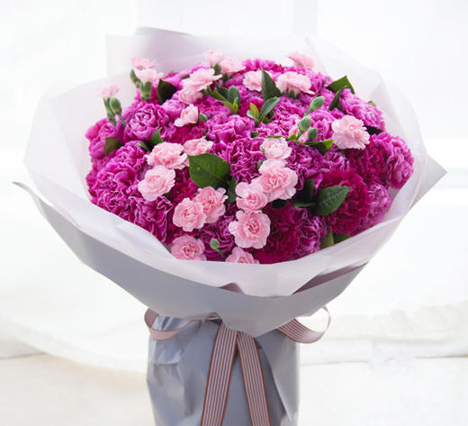 恩同山岳----66支康乃馨花束 商品图2