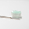 乐可丽舒·乳酸菌牙膏 ｜ 抑制口腔有害菌，80岁也不怕「老掉牙」 商品缩略图1