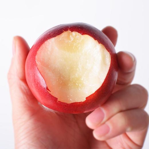 澳洲油桃【件】 商品图0