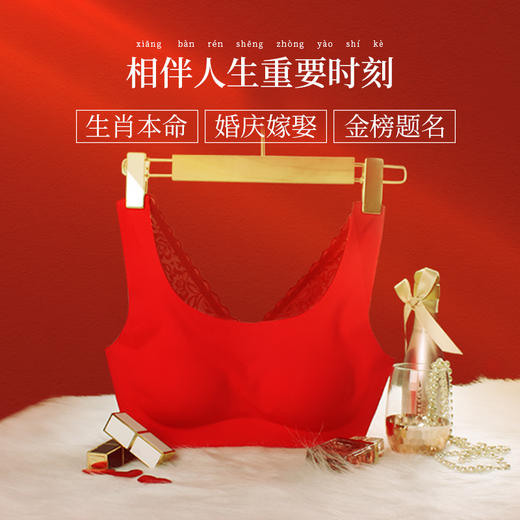 （99元/2件）红色网眼蕾丝美背内衣53043 商品图1