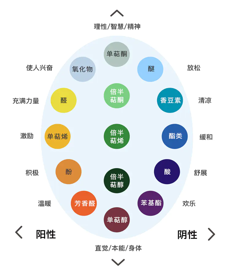 第1单元丨第9课 精油如何分类 从有机化学角度 Dr Wong