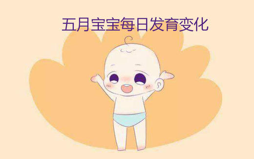 五月宝宝每日生长发育变化 商品图0