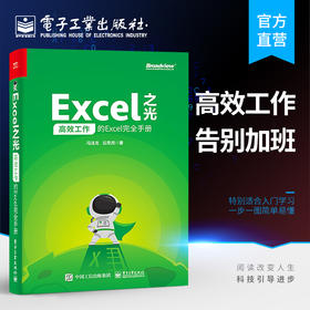Excel之光：高效工作的Excel完全手册