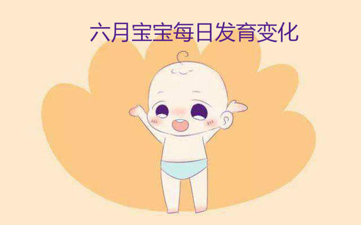 六月宝宝每日生长发育变化 商品图0