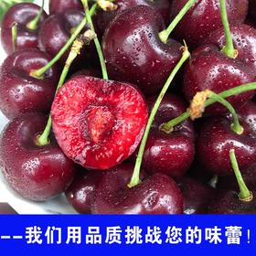 【朱珠水果】智利车厘子