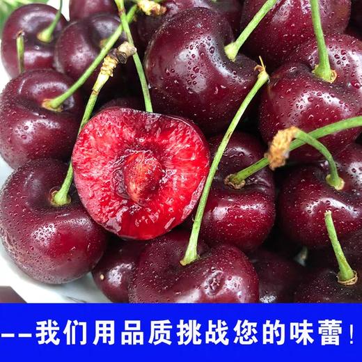 【朱珠水果】智利车厘子 商品图0