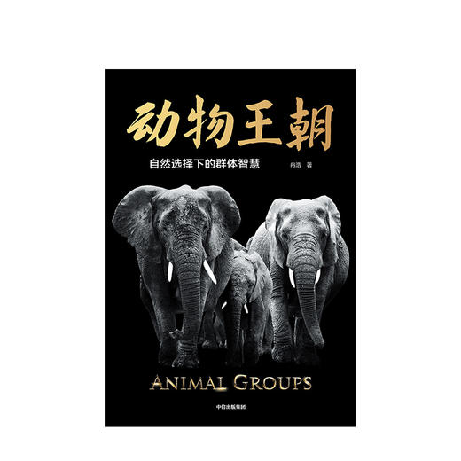 动物王朝 自然选择下的群体智慧 冉浩 著 预售 动物群体行为 动物世界 博物君张辰亮推荐 大自然智慧  中信出版社 商品图1