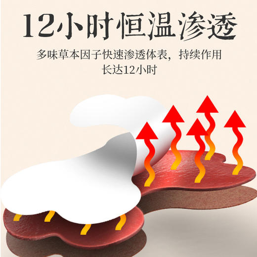 《3月花漾女神节》 御恒堂鸸鹋油膝盖贴、肩颈贴   一盒10贴 商品图4