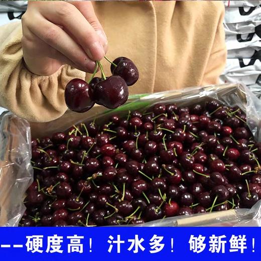 【朱珠水果】智利车厘子 商品图1