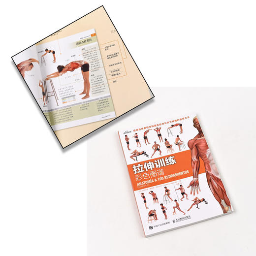 肌肉力量训练+拉伸训练彩se图谱 体育保健学 套装2册 商品图1