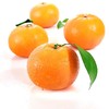 【朱珠水果】正宗沙糖桔 超薄皮 商品缩略图1