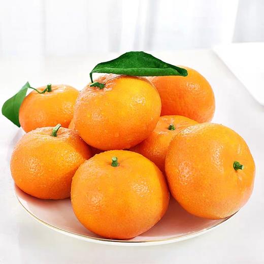 【朱珠水果】正宗沙糖桔 超薄皮 商品图2